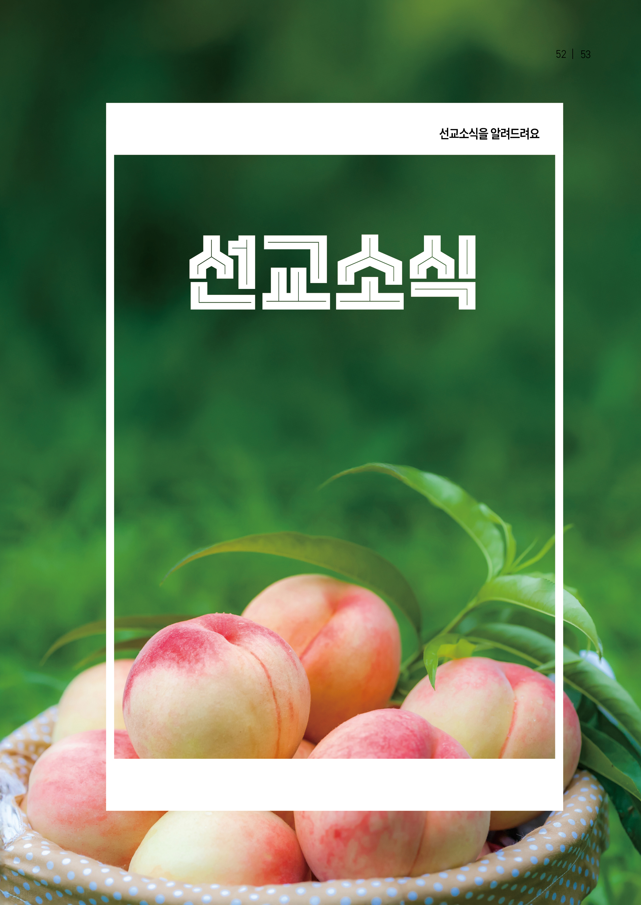 내일의꿈202607(326)53.jpg